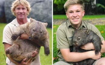 Robert Irwin Recreates Legendary Photos Of His Father